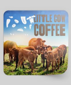 Matte Round Corner Square Stickers